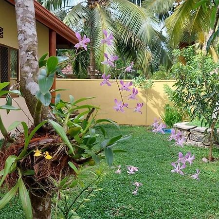 El-Nivasa Villa In เวลิกามา ภายนอก รูปภาพ