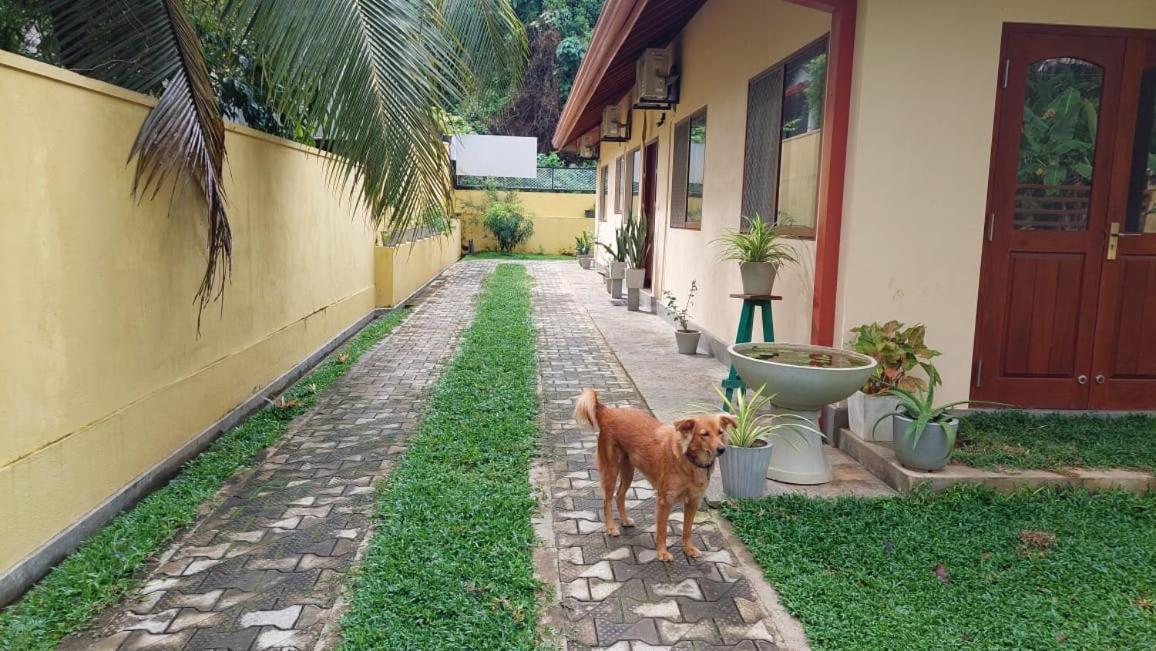 El-Nivasa Villa In เวลิกามา ภายนอก รูปภาพ