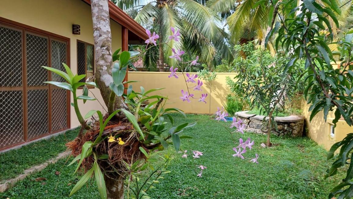 El-Nivasa Villa In เวลิกามา ภายนอก รูปภาพ